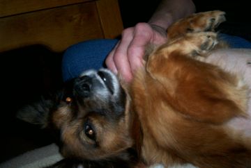 Trudy