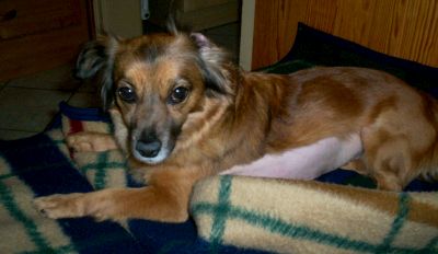 Trudy