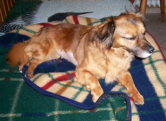 Trudy