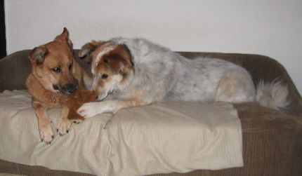 Artu und Jenna