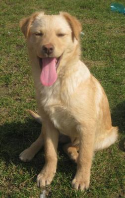Benny