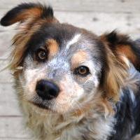 Carmelita
