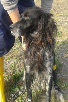 Charly