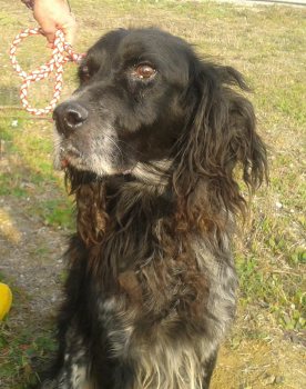 Charly
