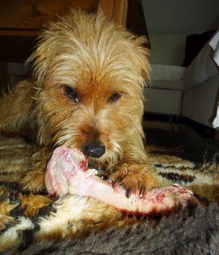 Clementina