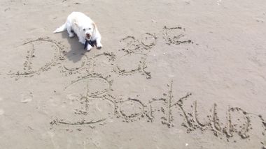 Dora
