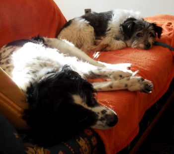 Giuseppina und Corro