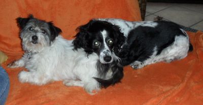 Giuseppina und Corro