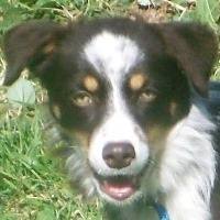 Jasper