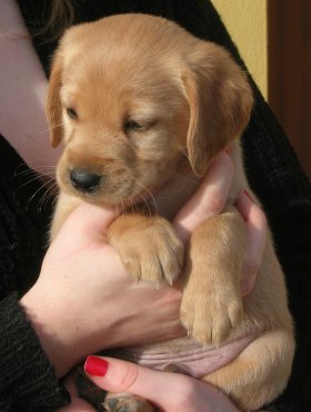 Oliver
