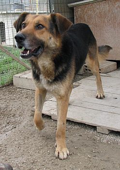 Vasco