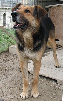 Vasco