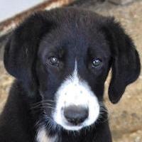 Zina