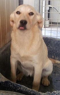 Angie