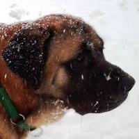 Ben