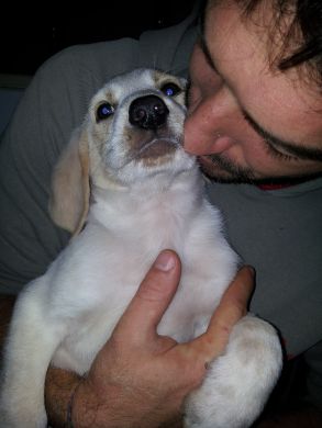 Benno