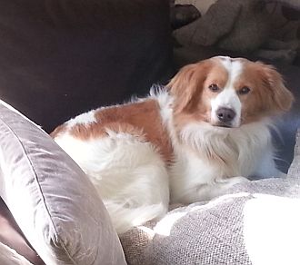 Chester
