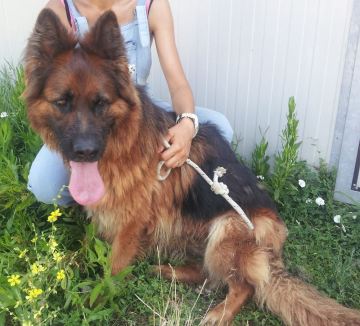 Helma