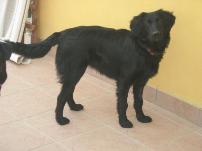 Jenny