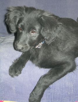 Jenny