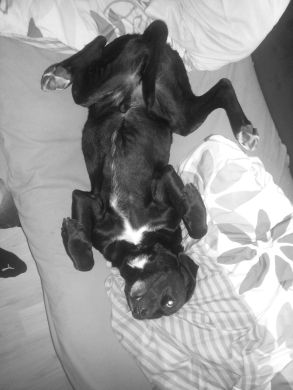 Labby