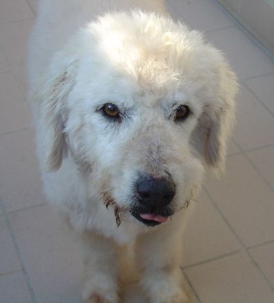 Meiky