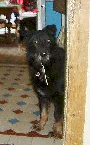 Moro