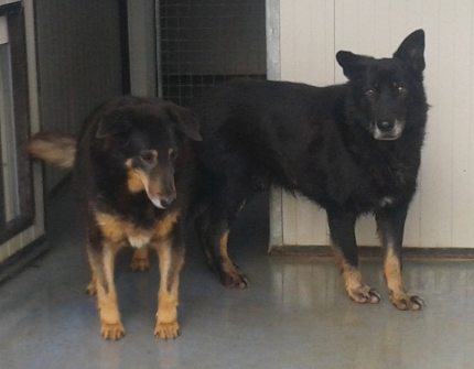 Moro und Afra