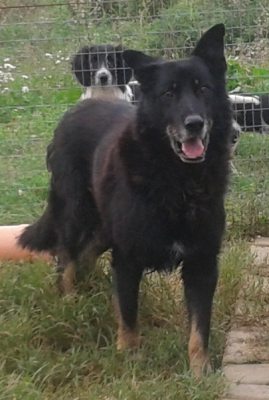 Moro