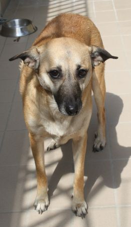 Sissi