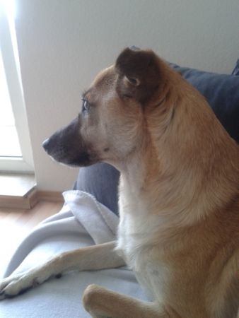 Sissi