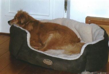 Tiggy