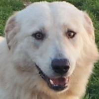 Erik