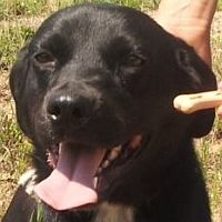 Giuly