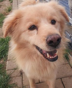 Luca