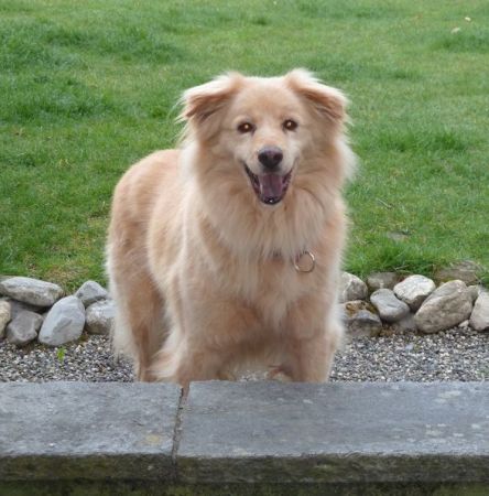 Luca