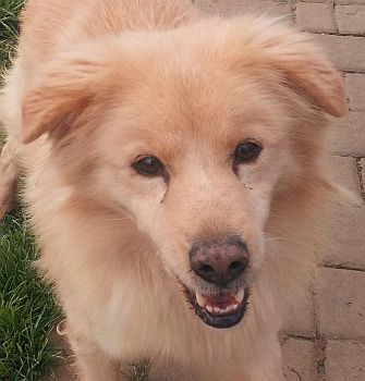 Luca