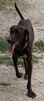 Murphy