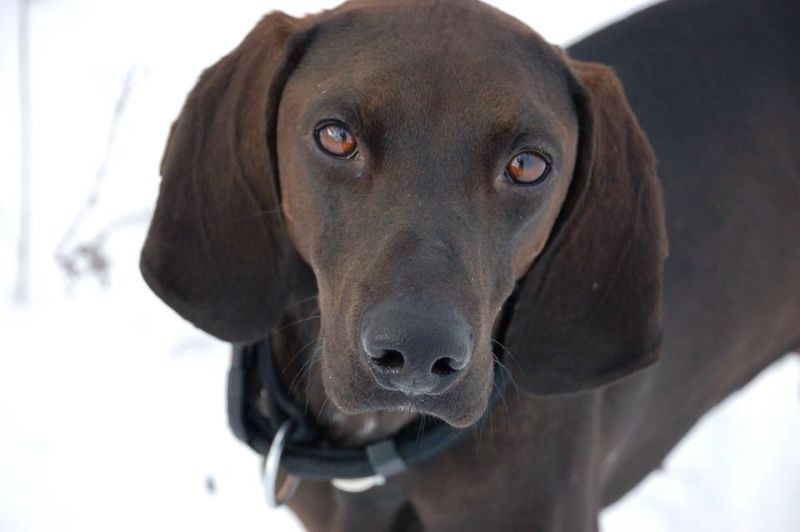 Murphy
