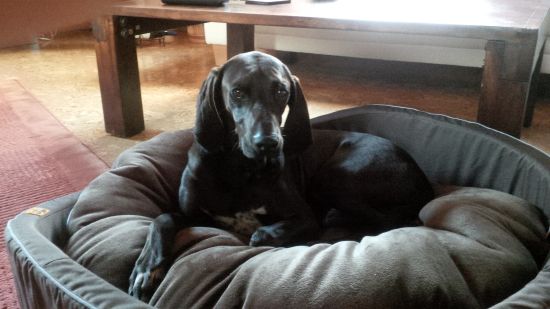 Murphy