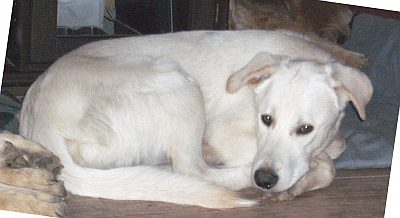 Pünktchen