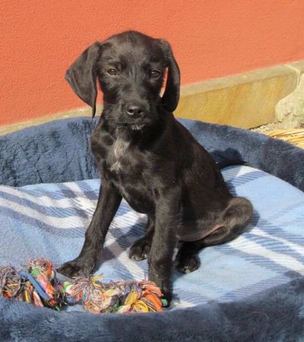 Santi