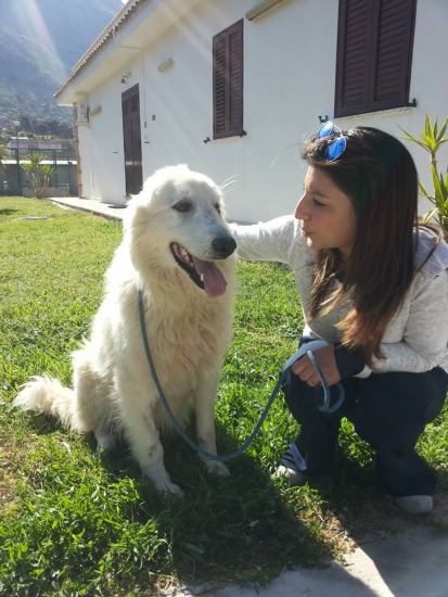 Amos