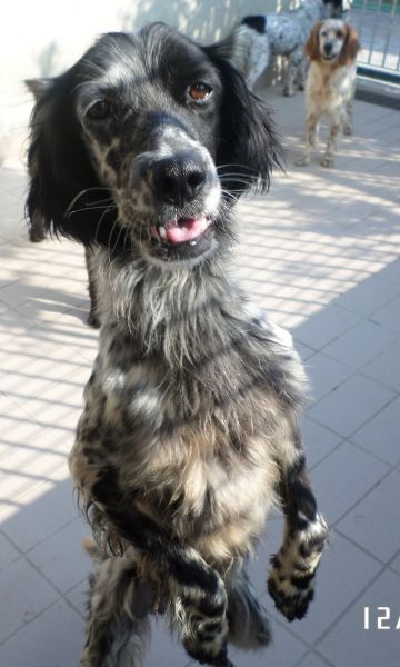 Asia