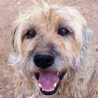 Bilbo