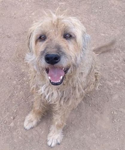 Bilbo