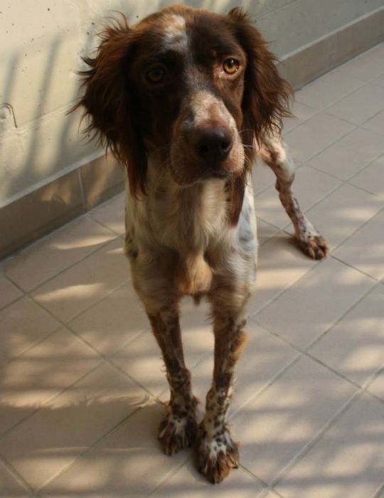 Circe