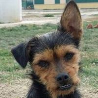 Frida
