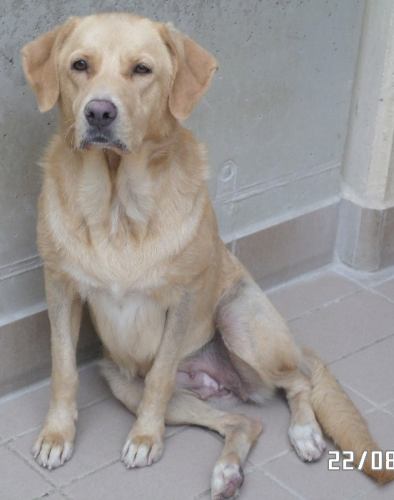 Lola