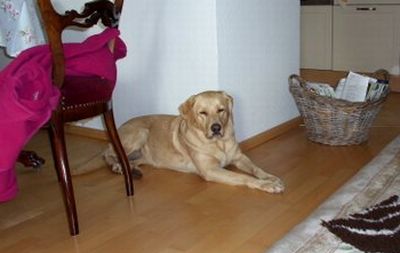 Lola